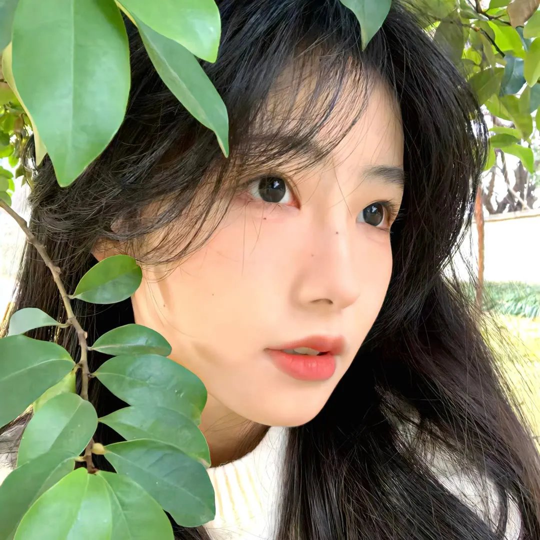 唐宫美人天下
